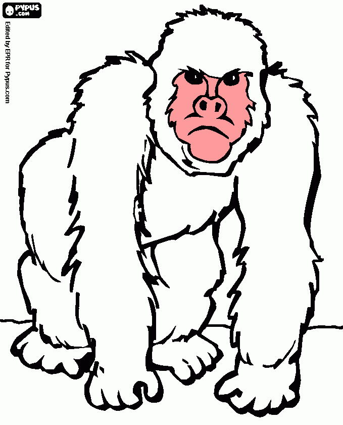 gratis malvorlagen Gorilla weiß