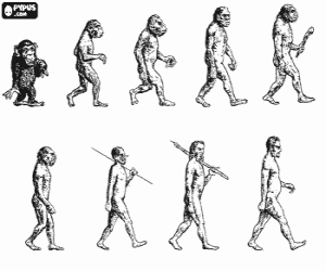 malvorlagen Ablauf der evolution des menschen aus australopithecus Lucy zu modernen menschen weitergabe unter anderem von m�nnern Heidelberg, Peking, Neandertaler und Cromagnon ausmalbilder