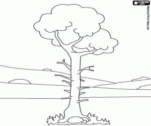 malvorlagen Alleiner baum in einer landschaft mit wenig vegetation ausmalbilder