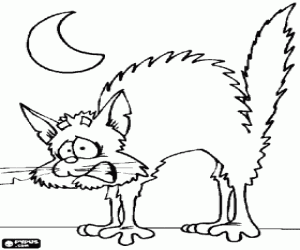 malvorlagen Angst katze mit gew�lbten k�rper und haar-erh�hung ausmalbilder