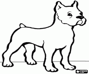 malvorlagen Bulldog mit seinem kurzen schwanz und aufrechte ohren ausmalbilder
