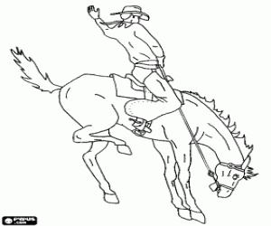 malvorlagen Cowboy ritt auf einem Pferd in der Aufzucht ein Rodeo ausmalbilder