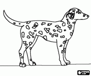 malvorlagen Dalmatiner hund mit ihrer haut die in spots ausmalbilder