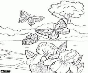 malvorlagen Drei schmetterlinge fliegen rund um den garten ausmalbilder