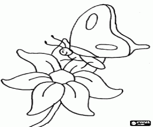 malvorlagen Ein kleiner schmetterling auf einer blume ausmalbilder