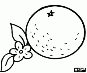 malvorlagen Ein orange ausmalbilder