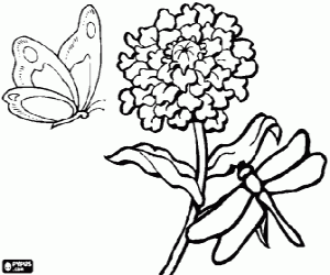 malvorlagen Ein schmetterling und eine libelle fliegen �ber eine blume ausmalbilder