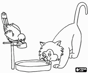 malvorlagen Eine katze und ein papagei, die von ihren untertassen trinken ausmalbilder