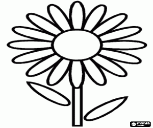 malvorlagen Einfache blume - Ein margerite ausmalbilder