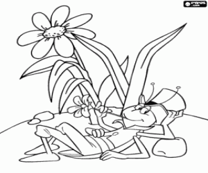 malvorlagen Flip, der grash�pfer, ruhe ruhig mit einer blume in den mund ausmalbilder