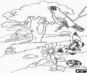 malvorlagen Fr�hling landschaft mit einem haus, einem baum, ein vogel singt, ein schmetterling und eine blume ausmalbilder