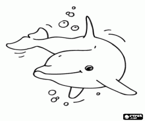 malvorlagen Gl�cklicher delphin im meer ausmalbilder