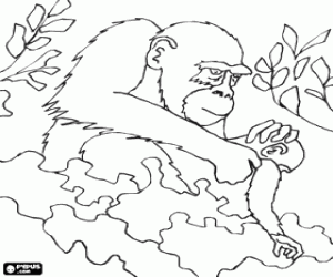 malvorlagen Gorilla mit ihrem Baby unter den Pflanzen ausmalbilder
