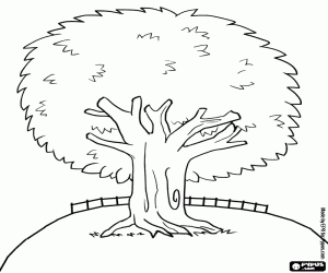malvorlagen Gro�er baum an beharrlichen bl�ttern in umzingelt ausmalbilder