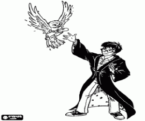 malvorlagen  Harry Potter hat seine erste begegnung mit der magischen welt, wenn er den brief aus Hogwarts Schule f�r Hexerei und Magie, die von einer eule ausmalbilder