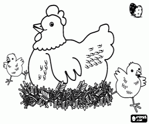 malvorlagen Huhn und zwei K�ken f�r Ostern ausmalbilder