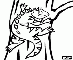 malvorlagen Iguana in den Stamm eines Baumes ausmalbilder