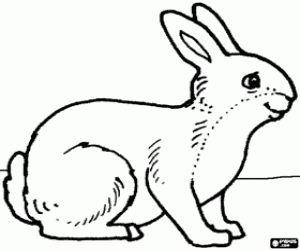 malvorlagen Kaninchen ausmalbilder