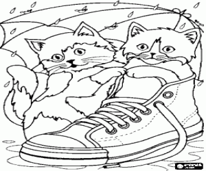 malvorlagen K�tzchen spielt im regen mit einem tennis-schuh ausmalbilder