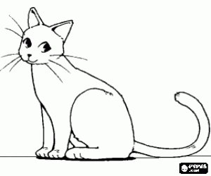 malvorlagen Katze die das endst�ck, seitenansicht verschiebt ausmalbilder