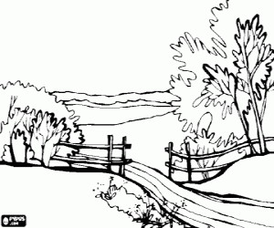 malvorlagen Landschaft mit b�umen, einer spur und eines holz-zaun ausmalbilder
