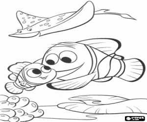 malvorlagen Marlin und Nemo unter den blicken des lehrers Herr Rochen ausmalbilder