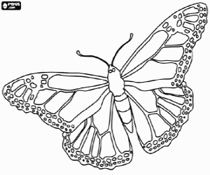 malvorlagen Monarchfalter, ein schmetterling mit hoher kapazit�t migration ausmalbilder