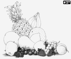 malvorlagen Obst vielf�ltig: ananas, banane, melone, apfel, birnen, zitronen, trauben, kirschen, erdbeeren, pfirsiche und himbeeren ausmalbilder
