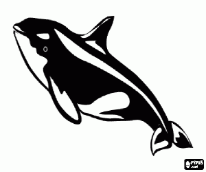 malvorlagen Orca - Gro�er schwertwal ausmalbilder