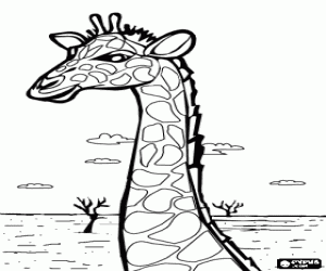 malvorlagen Portrait des Kopfes von einer sch�nen Giraffe ausmalbilder