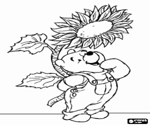 malvorlagen Pu de B�r gerne mit einer gro�en sonnenblume ausmalbilder