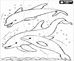 malvorlagen Puzzle von gruppe des desphins springen ausmalbilder