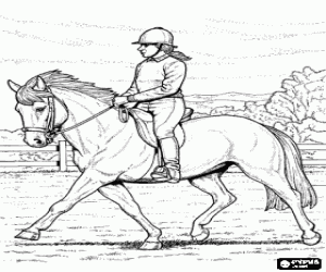 malvorlagen Reiter bei einem Reitturnier ausmalbilder