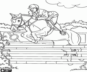 malvorlagen Reiter und Pferd an einem Wettbewerb springen ausmalbilder
