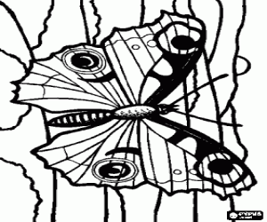 malvorlagen Schmetterling auf einem stamm ausmalbilder