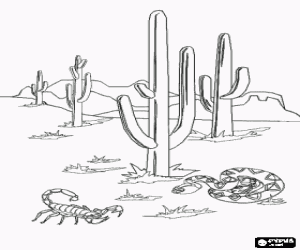 malvorlagen Sonora-W�ste mit den ber�hmten saguaro kaktus, ein skorpion und eine schlange ausmalbilder