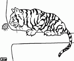 malvorlagen Tiger nach einer niederlassung, mit aufmerksamkeit ein insekt beobachtend ausmalbilder