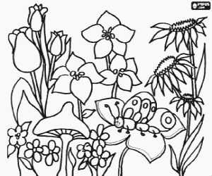 malvorlagen Variierte fr�hlingblumen, mit einer raupe und einem pilz ausmalbilder