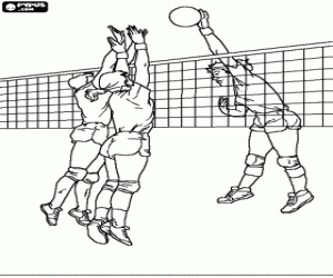 malvorlagen Volleyball - Spieler der spitze den ball zu blockieren versucht die gegnerische mannschaft ausmalbilder