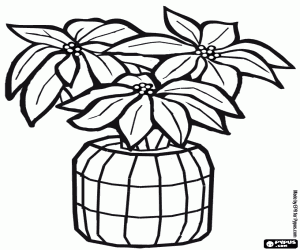 malvorlagen Weihnachtsstern in eine vase mit Weihnachtsschmuck ausmalbilder