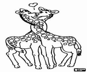malvorlagen Zwei Giraffen in der Liebe mit den H�lsen verflochten ausmalbilder
