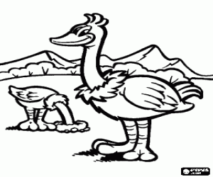 malvorlagen Zwei Strau�e in der Landschaft, ist der Strau� einen flugunf�higen Vogel ausmalbilder