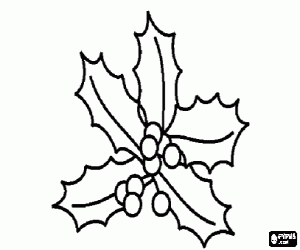 malvorlagen Zweig der stechpalme mit roten beeren ausmalbilder