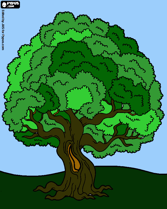 gratis malvorlagen baum des lebens