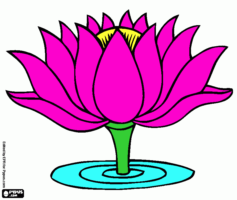gratis malvorlagen blume