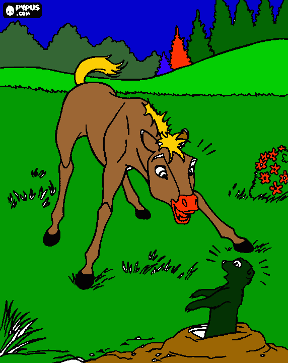 gratis malvorlagen das murmeltier und das pferd