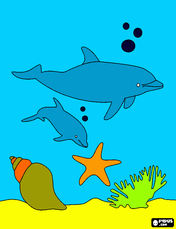 gratis malvorlagen Delphin hautnah
