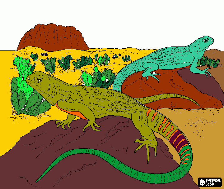 gratis malvorlagen Echsen