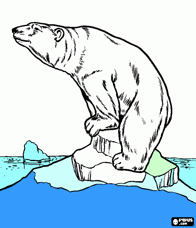 gratis malvorlagen Eisbär