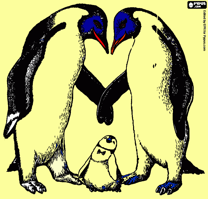 gratis malvorlagen Familie Pinguin